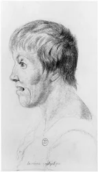 Epileptische Frau, Profil, Illustration aus einem unveröffentlichten Traktat von Jean Etienne Dominique Esquirol (1772-1840) über die Verrückten des Salpetriere-Asyls, ca. 1818